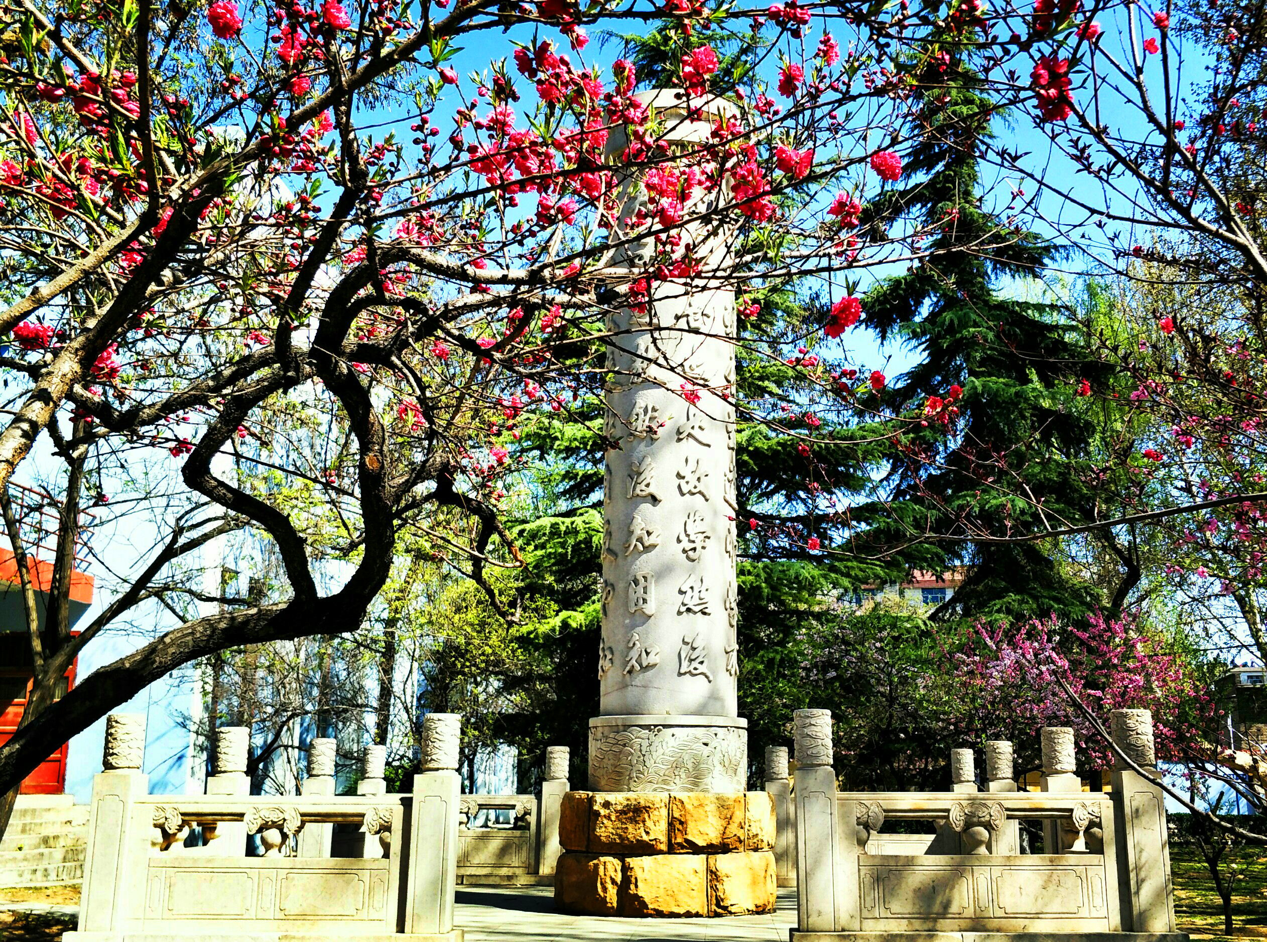 校园风光14-山西师范大学