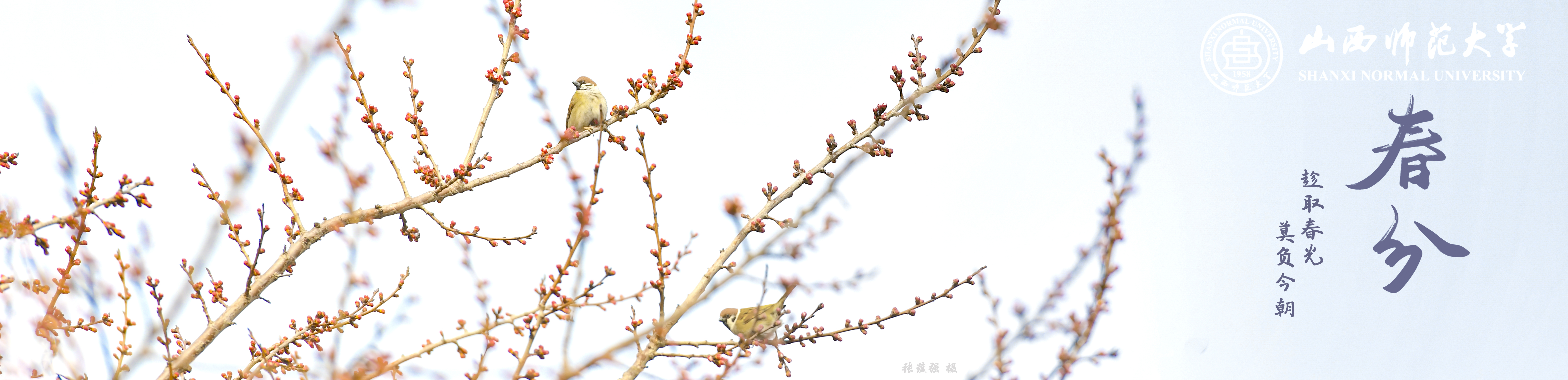 2023.03.21 设计：张蕴强 摄影：张蕴强